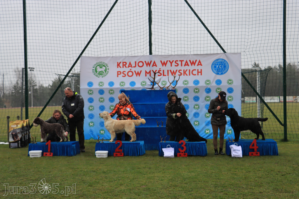 Krajowa Wystawa Psów Myśliwskich - Gniazdów g. Koziegłowy cz. 1