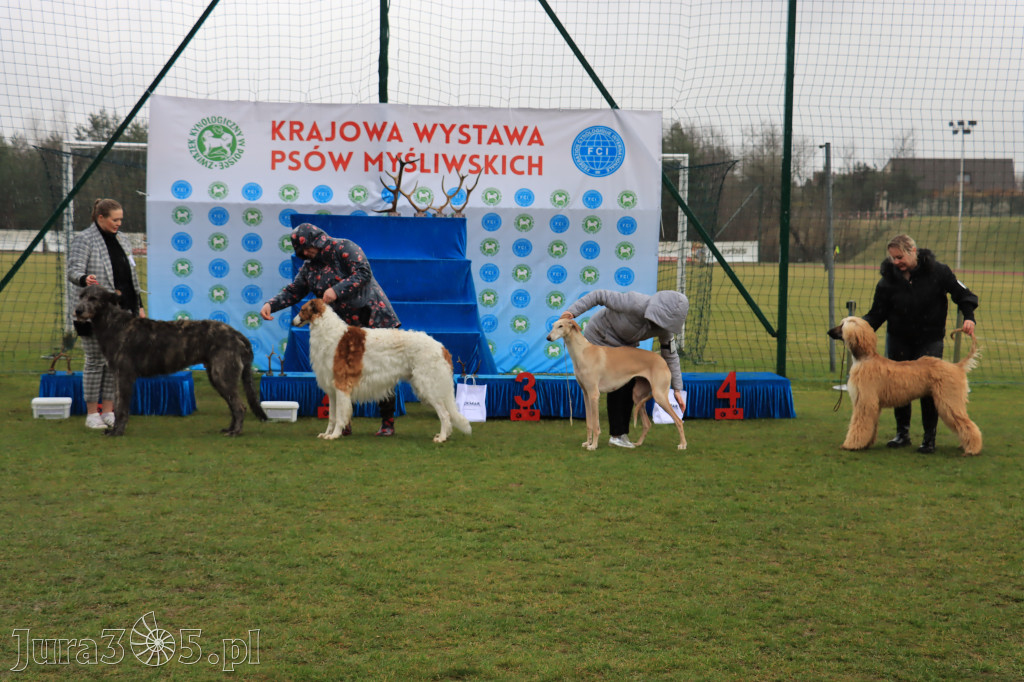 Krajowa Wystawa Psów Myśliwskich - Gniazdów g. Koziegłowy cz. 1