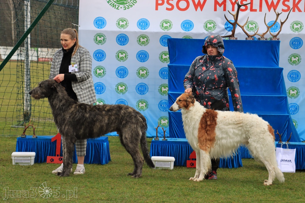 Krajowa Wystawa Psów Myśliwskich - Gniazdów g. Koziegłowy cz. 1