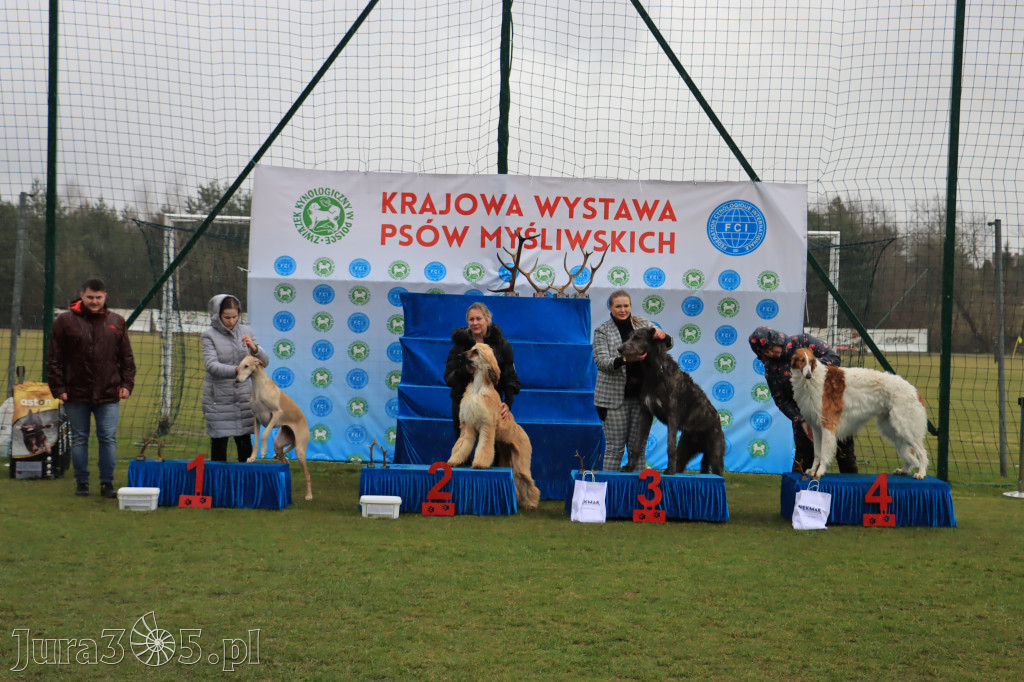 Krajowa Wystawa Psów Myśliwskich - Gniazdów g. Koziegłowy cz. 1