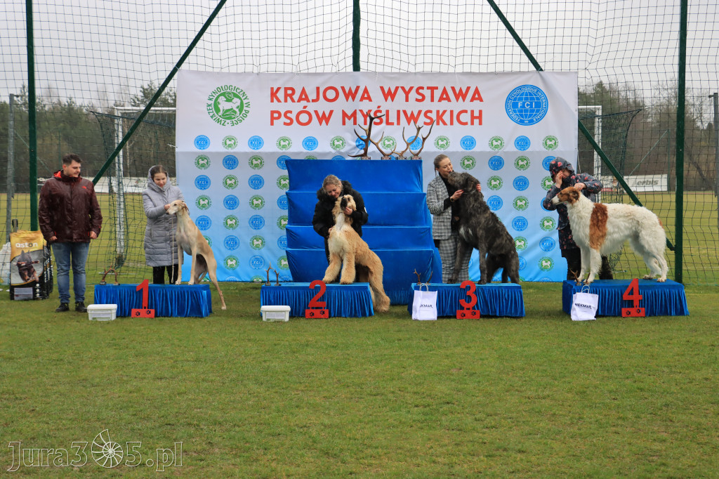 Krajowa Wystawa Psów Myśliwskich - Gniazdów g. Koziegłowy cz. 1