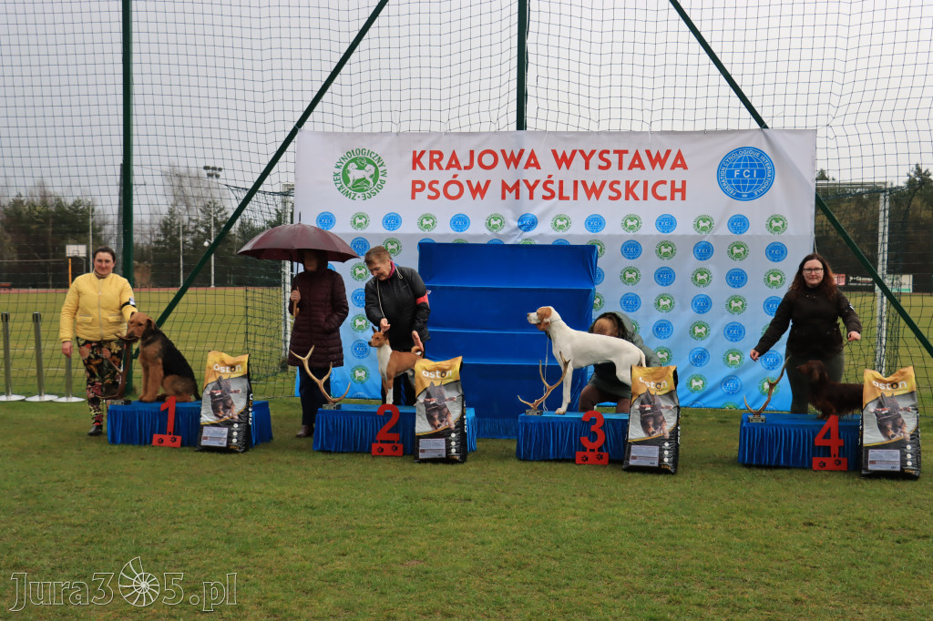 Krajowa Wystawa Psów Myśliwskich - Gniazdów g. Koziegłowy cz. 1