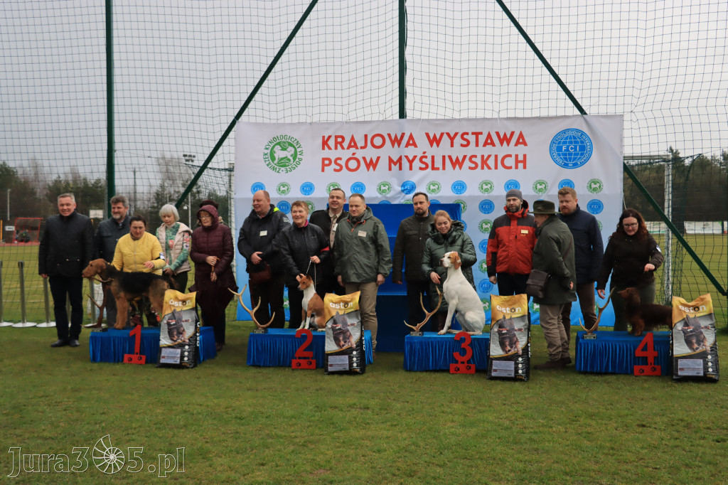 Krajowa Wystawa Psów Myśliwskich - Gniazdów g. Koziegłowy cz. 1