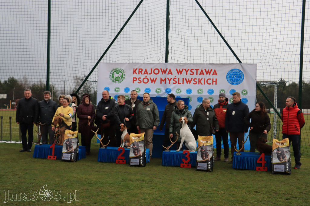 Krajowa Wystawa Psów Myśliwskich - Gniazdów g. Koziegłowy cz. 1