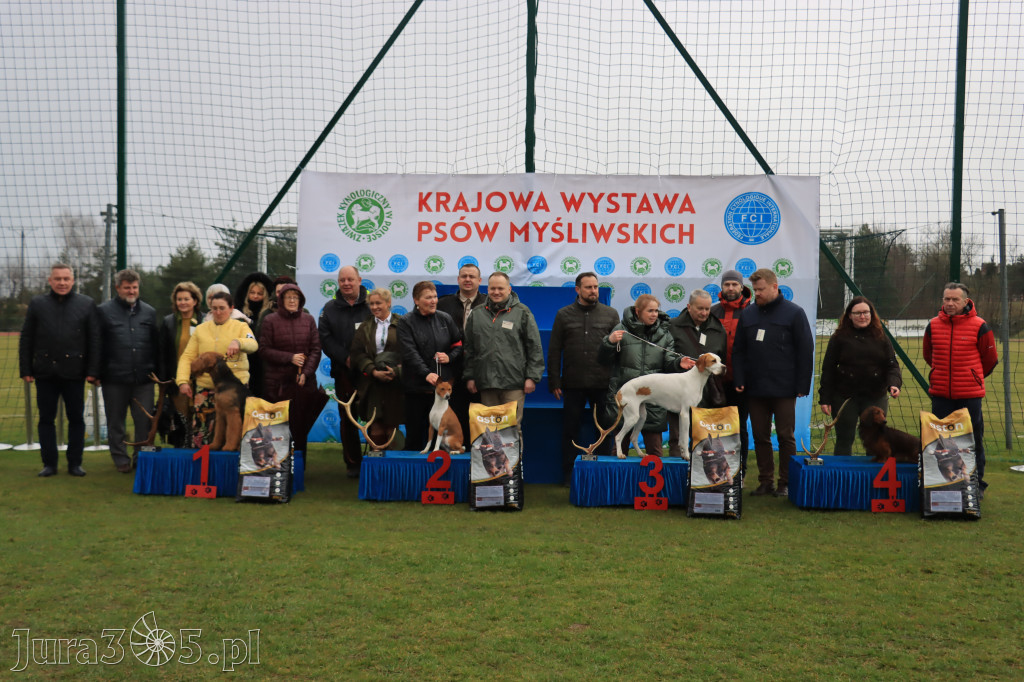 Krajowa Wystawa Psów Myśliwskich - Gniazdów g. Koziegłowy cz. 1