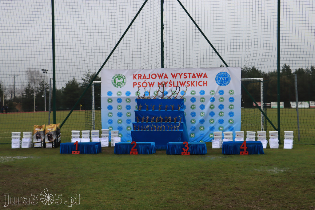 Krajowa Wystawa Psów Myśliwskich - Gniazdów g. Koziegłowy cz. 2