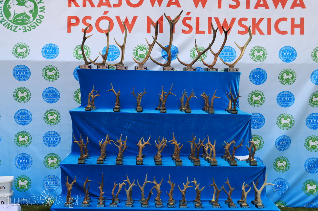 Krajowa Wystawa Psów Myśliwskich - Gniazdów g. Koziegłowy cz. 2
