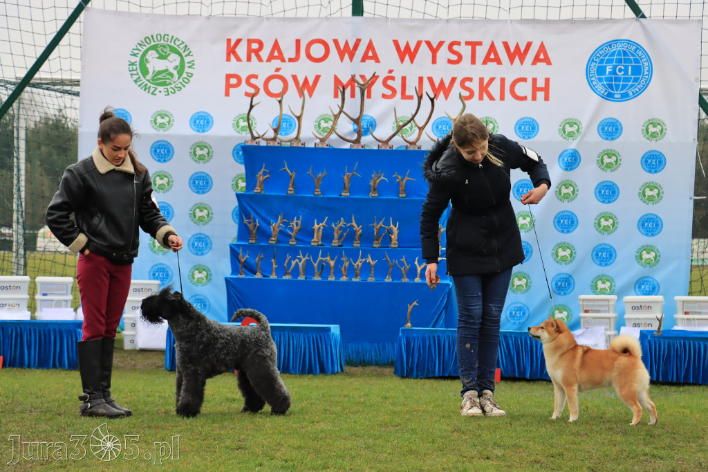 Krajowa Wystawa Psów Myśliwskich - Gniazdów g. Koziegłowy cz. 2