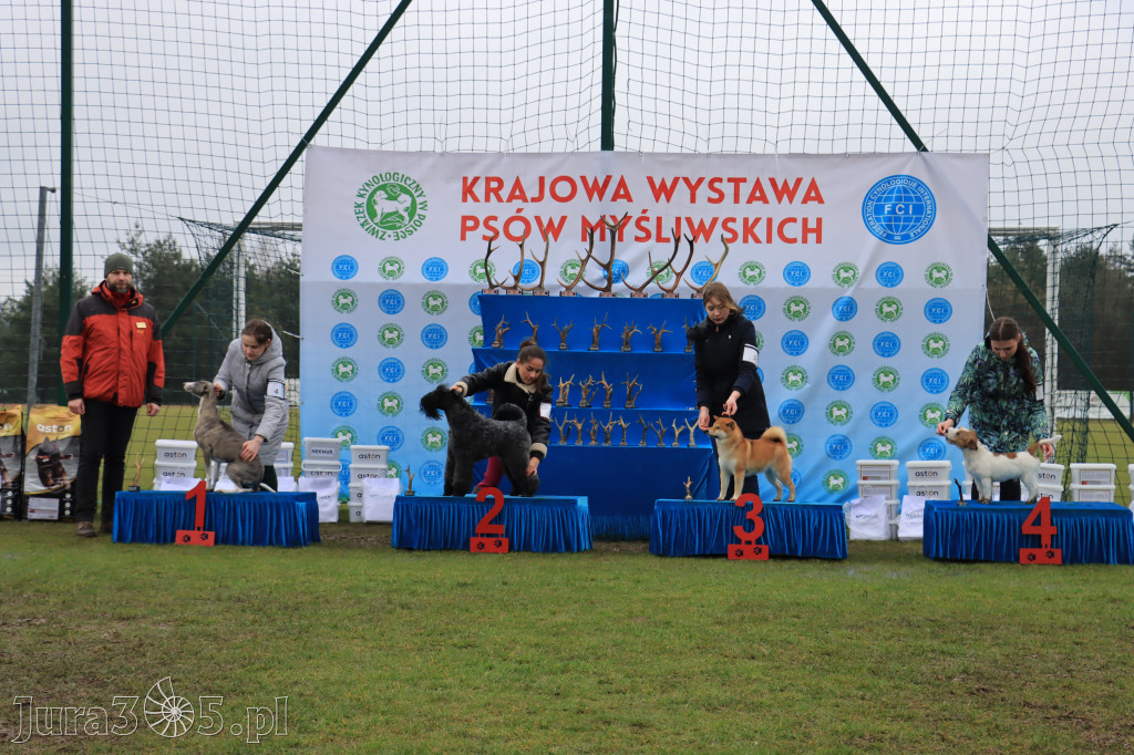Krajowa Wystawa Psów Myśliwskich - Gniazdów g. Koziegłowy cz. 2
