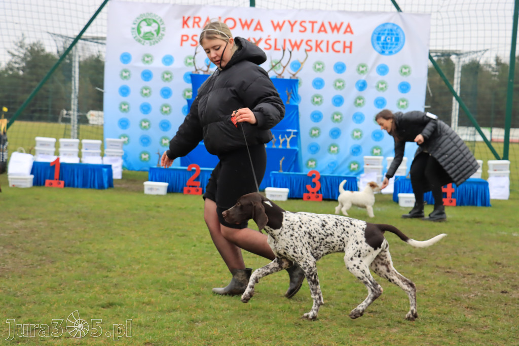 Krajowa Wystawa Psów Myśliwskich - Gniazdów g. Koziegłowy cz. 2