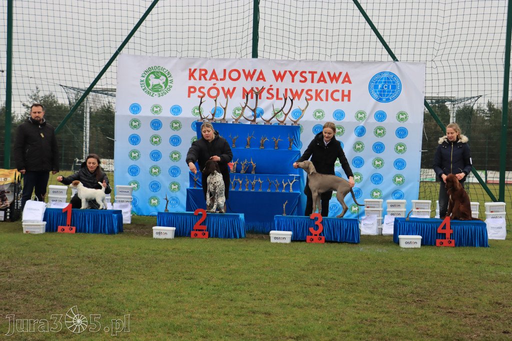 Krajowa Wystawa Psów Myśliwskich - Gniazdów g. Koziegłowy cz. 2