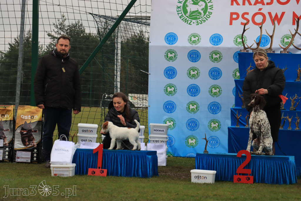 Krajowa Wystawa Psów Myśliwskich - Gniazdów g. Koziegłowy cz. 2