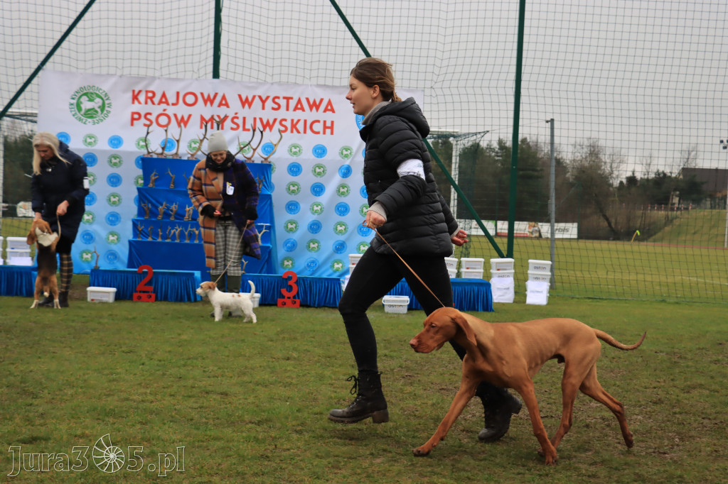 Krajowa Wystawa Psów Myśliwskich - Gniazdów g. Koziegłowy cz. 2
