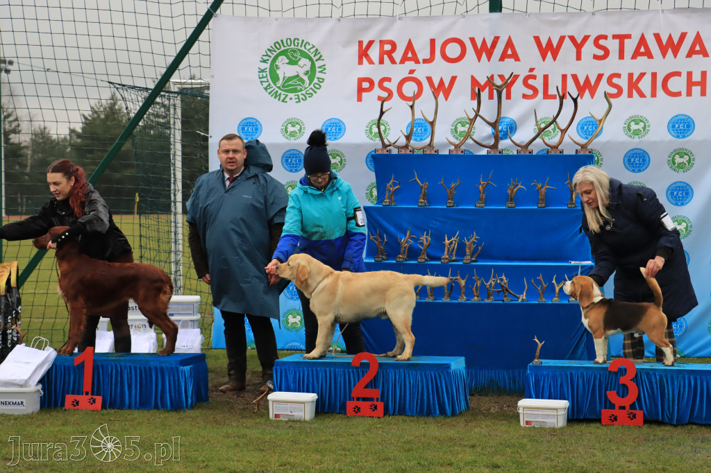 Krajowa Wystawa Psów Myśliwskich - Gniazdów g. Koziegłowy cz. 2