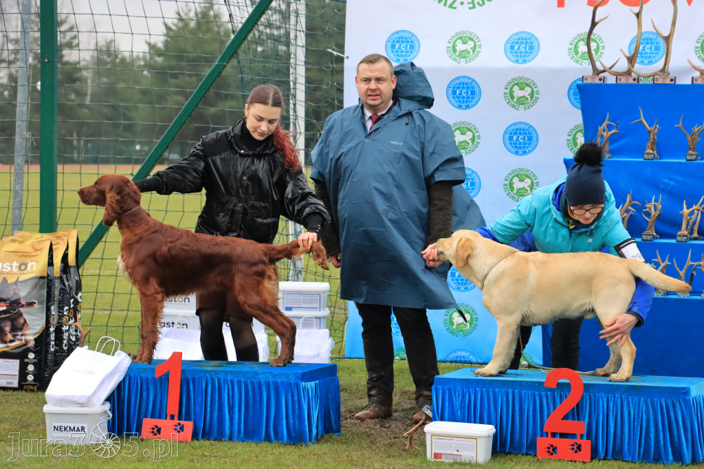 Krajowa Wystawa Psów Myśliwskich - Gniazdów g. Koziegłowy cz. 2
