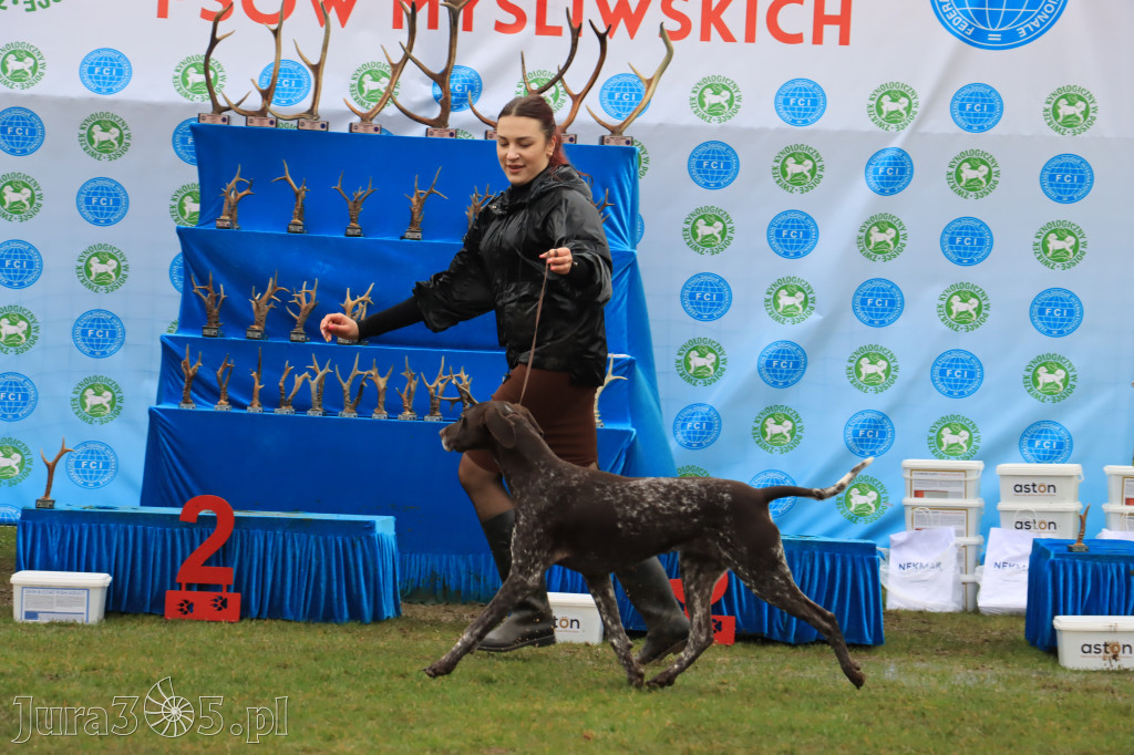 Krajowa Wystawa Psów Myśliwskich - Gniazdów g. Koziegłowy cz. 2