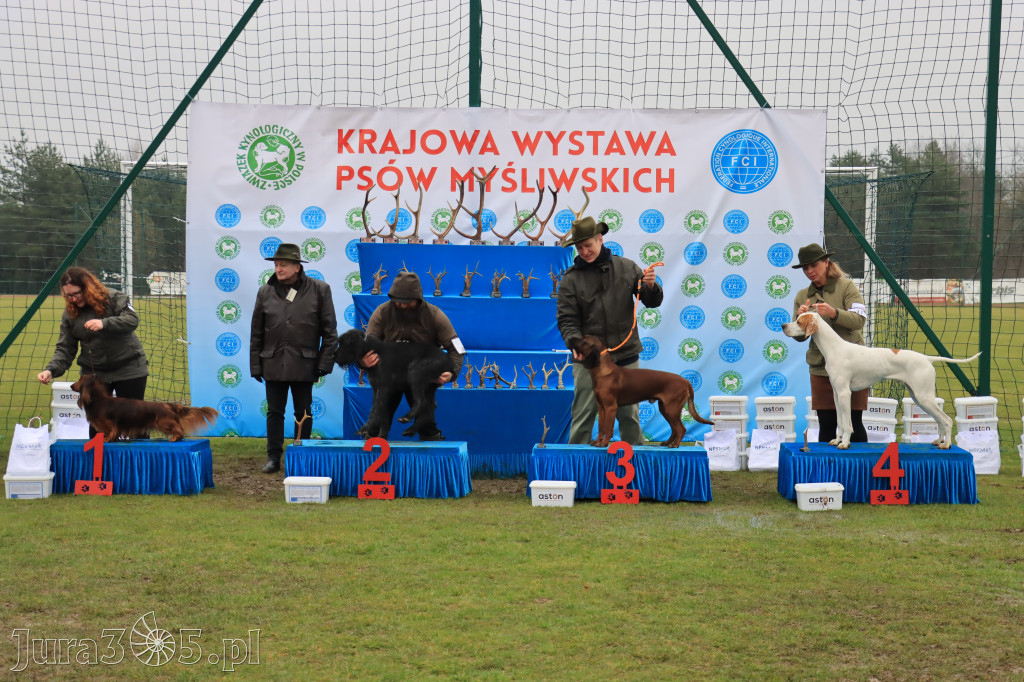 Krajowa Wystawa Psów Myśliwskich - Gniazdów g. Koziegłowy cz. 2