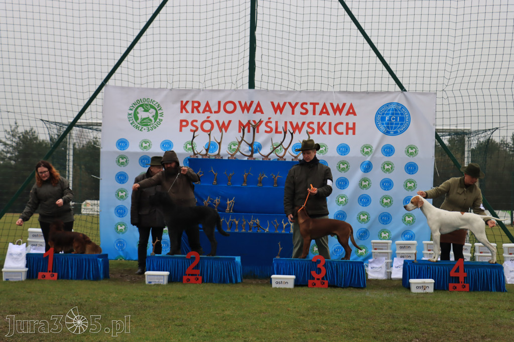 Krajowa Wystawa Psów Myśliwskich - Gniazdów g. Koziegłowy cz. 2