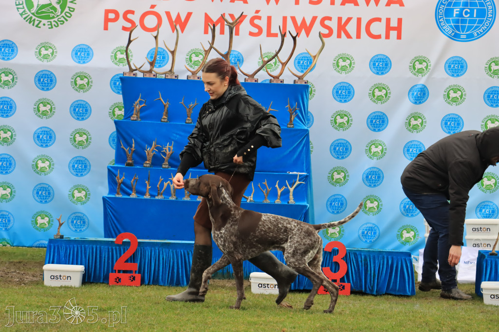Krajowa Wystawa Psów Myśliwskich - Gniazdów g. Koziegłowy cz. 2
