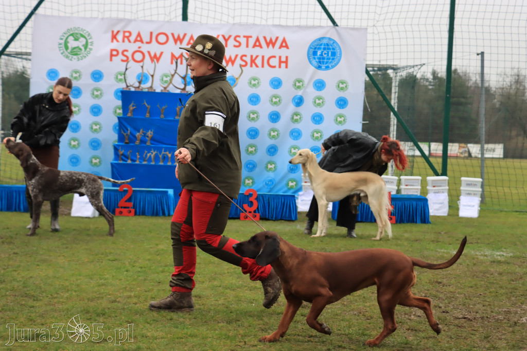 Krajowa Wystawa Psów Myśliwskich - Gniazdów g. Koziegłowy cz. 2