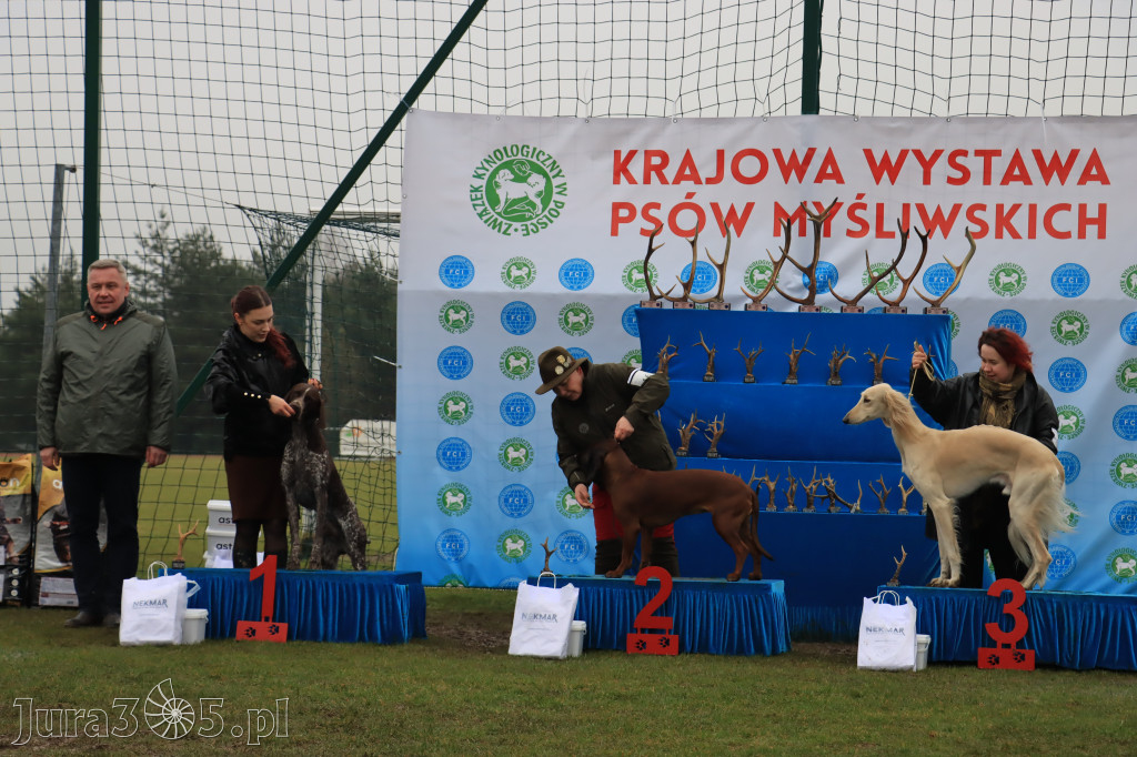 Krajowa Wystawa Psów Myśliwskich - Gniazdów g. Koziegłowy cz. 2