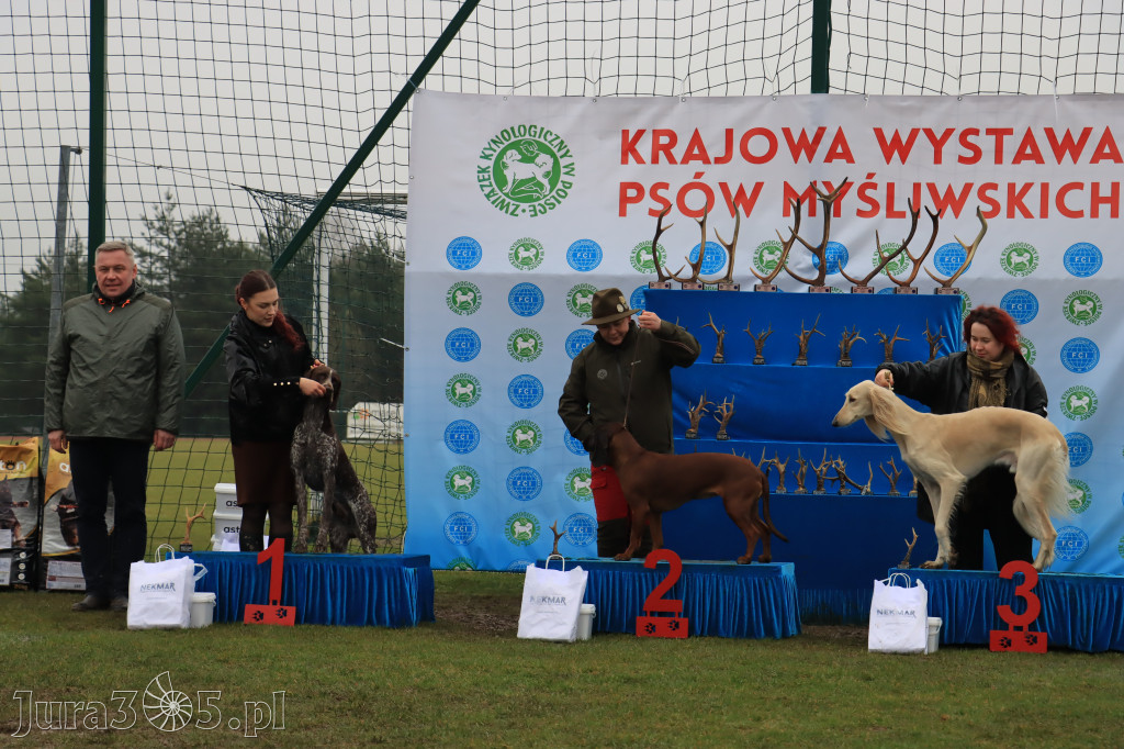 Krajowa Wystawa Psów Myśliwskich - Gniazdów g. Koziegłowy cz. 2