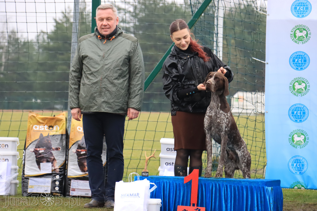 Krajowa Wystawa Psów Myśliwskich - Gniazdów g. Koziegłowy cz. 2