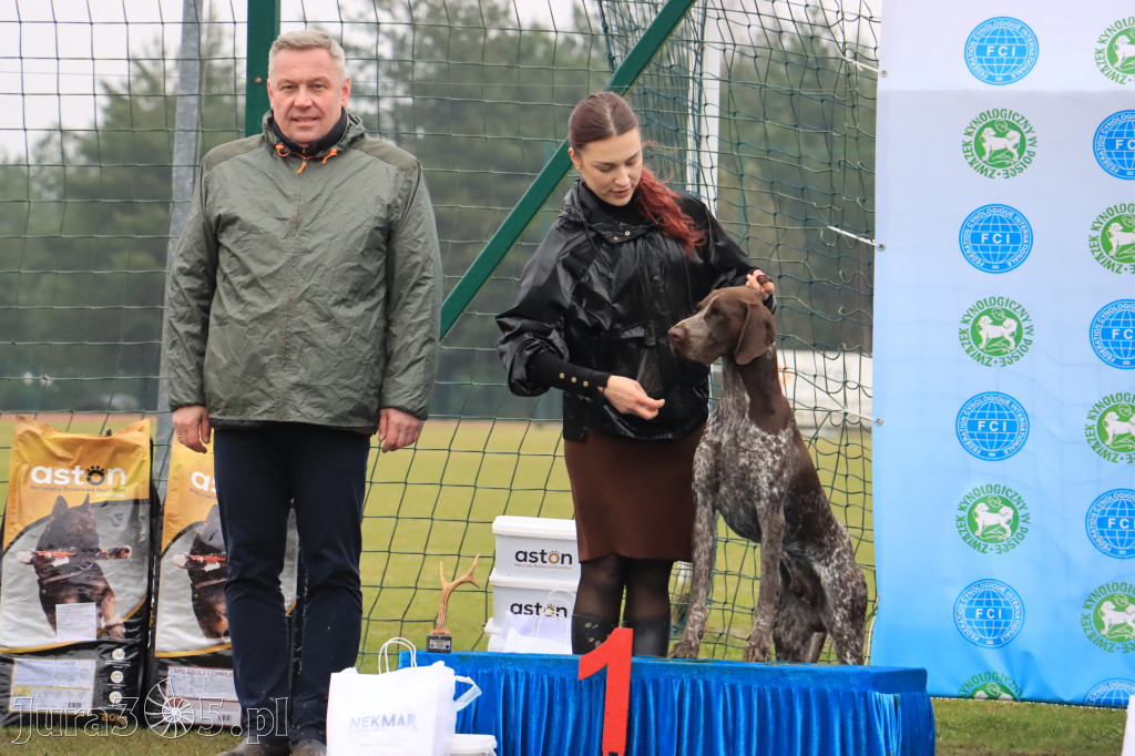 Krajowa Wystawa Psów Myśliwskich - Gniazdów g. Koziegłowy cz. 2