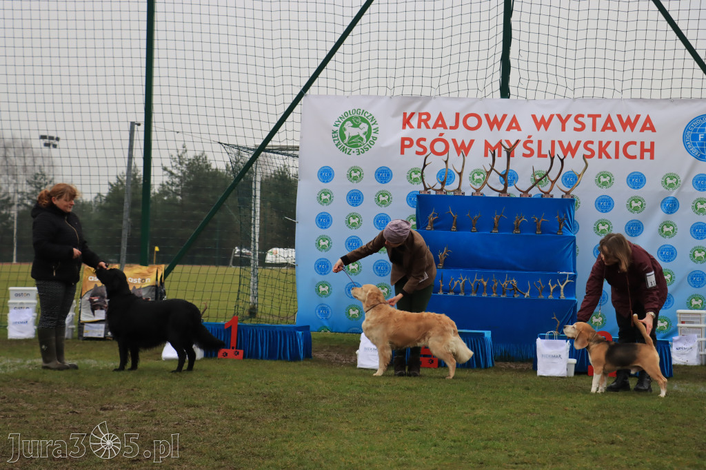 Krajowa Wystawa Psów Myśliwskich - Gniazdów g. Koziegłowy cz. 2