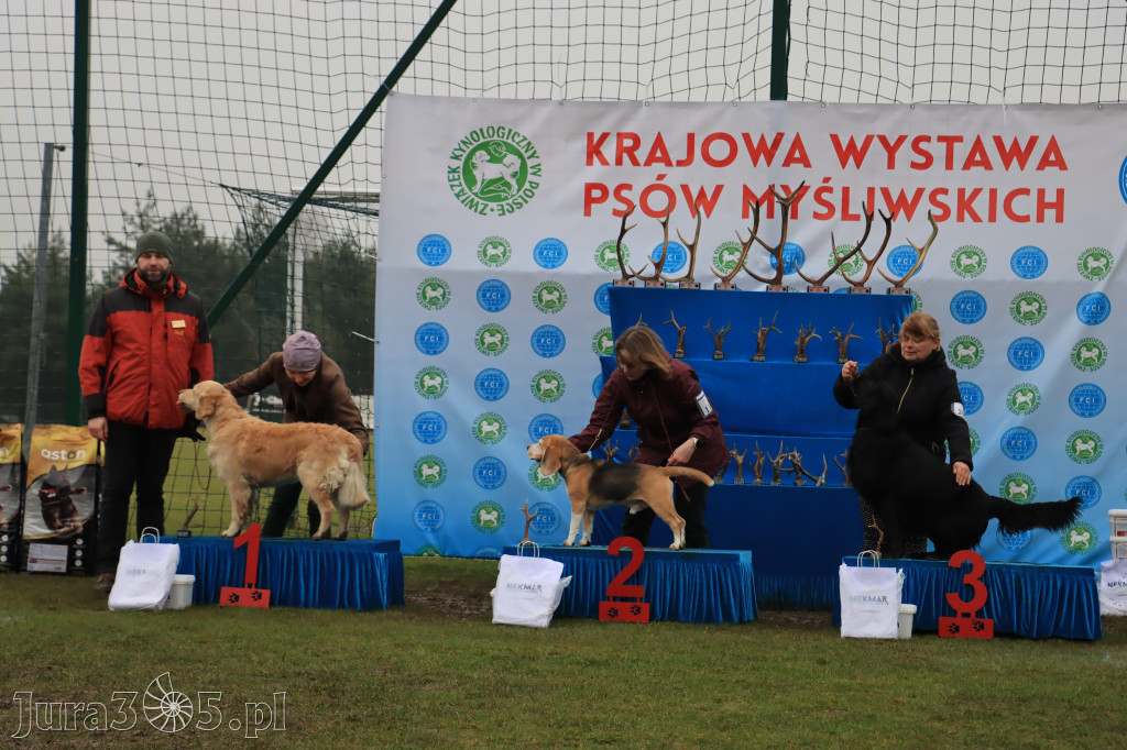 Krajowa Wystawa Psów Myśliwskich - Gniazdów g. Koziegłowy cz. 2