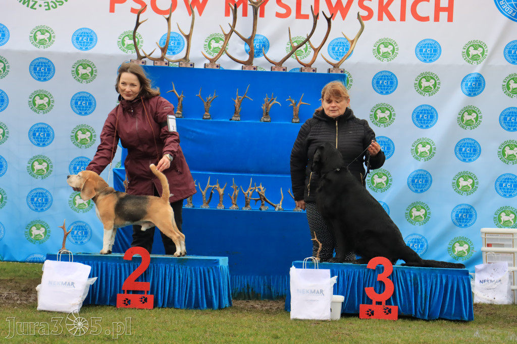 Krajowa Wystawa Psów Myśliwskich - Gniazdów g. Koziegłowy cz. 2