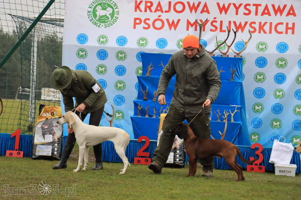 Krajowa Wystawa Psów Myśliwskich - Gniazdów g. Koziegłowy cz. 2