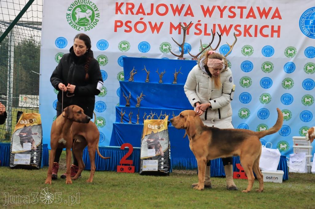 Krajowa Wystawa Psów Myśliwskich - Gniazdów g. Koziegłowy cz. 2