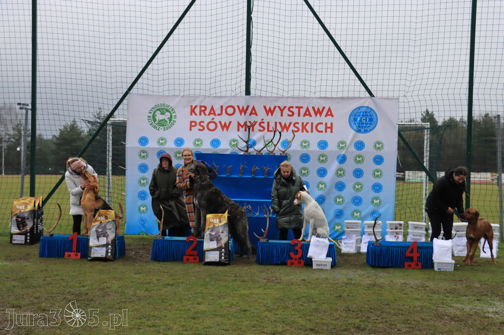 Krajowa Wystawa Psów Myśliwskich - Gniazdów g. Koziegłowy cz. 2