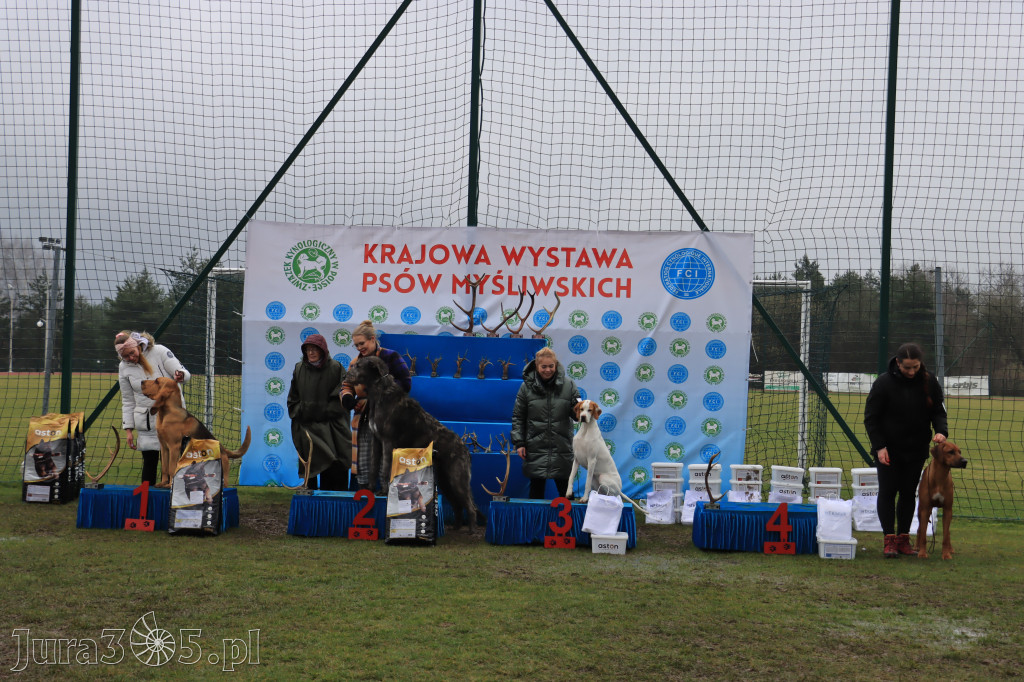 Krajowa Wystawa Psów Myśliwskich - Gniazdów g. Koziegłowy cz. 2