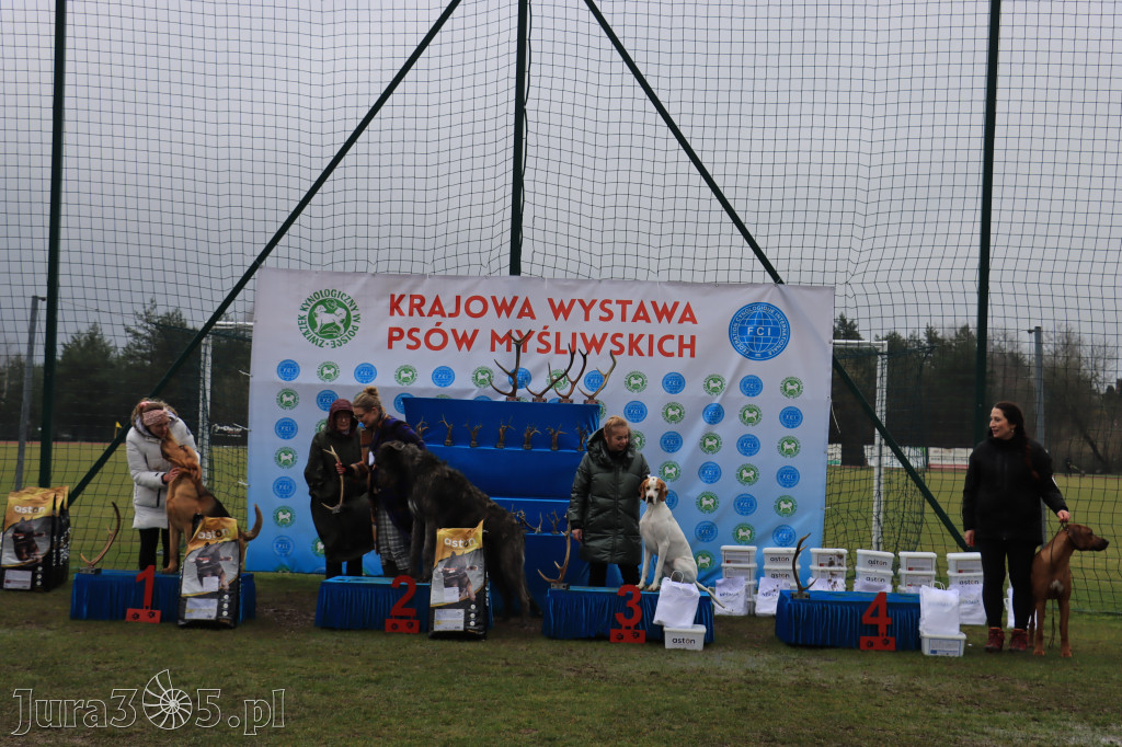 Krajowa Wystawa Psów Myśliwskich - Gniazdów g. Koziegłowy cz. 2