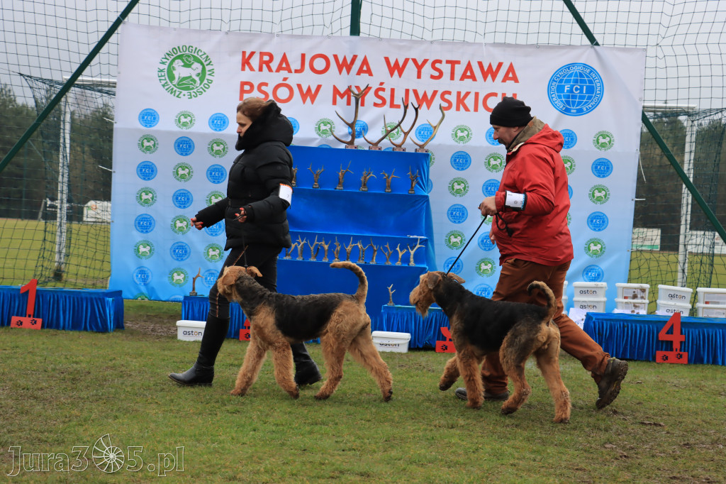 Krajowa Wystawa Psów Myśliwskich - Gniazdów g. Koziegłowy cz. 2
