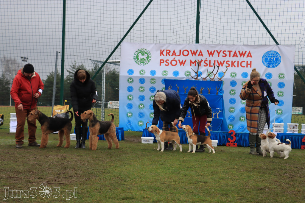 Krajowa Wystawa Psów Myśliwskich - Gniazdów g. Koziegłowy cz. 2