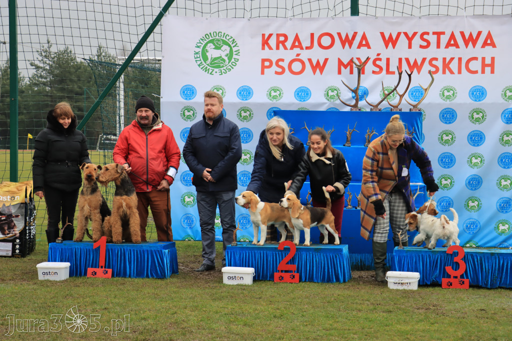 Krajowa Wystawa Psów Myśliwskich - Gniazdów g. Koziegłowy cz. 2