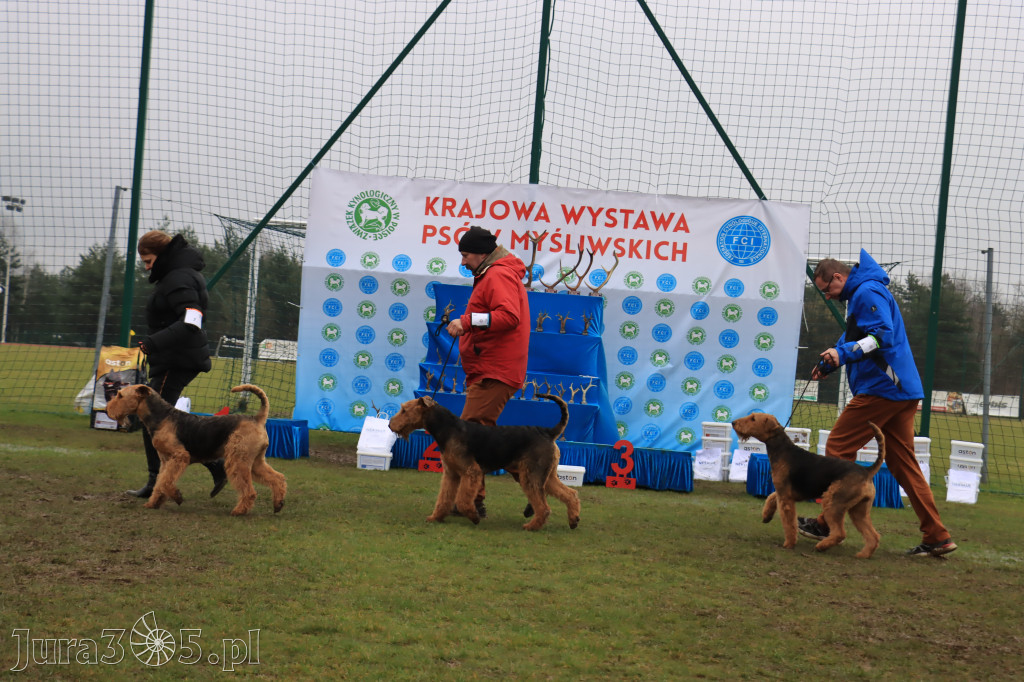 Krajowa Wystawa Psów Myśliwskich - Gniazdów g. Koziegłowy cz. 2