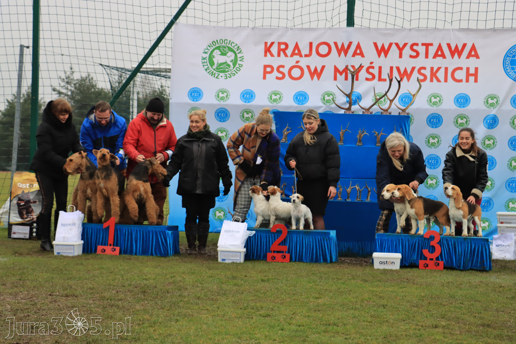 Krajowa Wystawa Psów Myśliwskich - Gniazdów g. Koziegłowy cz. 2