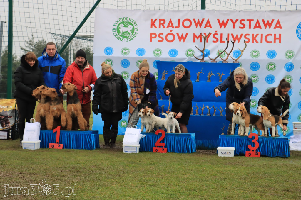 Krajowa Wystawa Psów Myśliwskich - Gniazdów g. Koziegłowy cz. 2