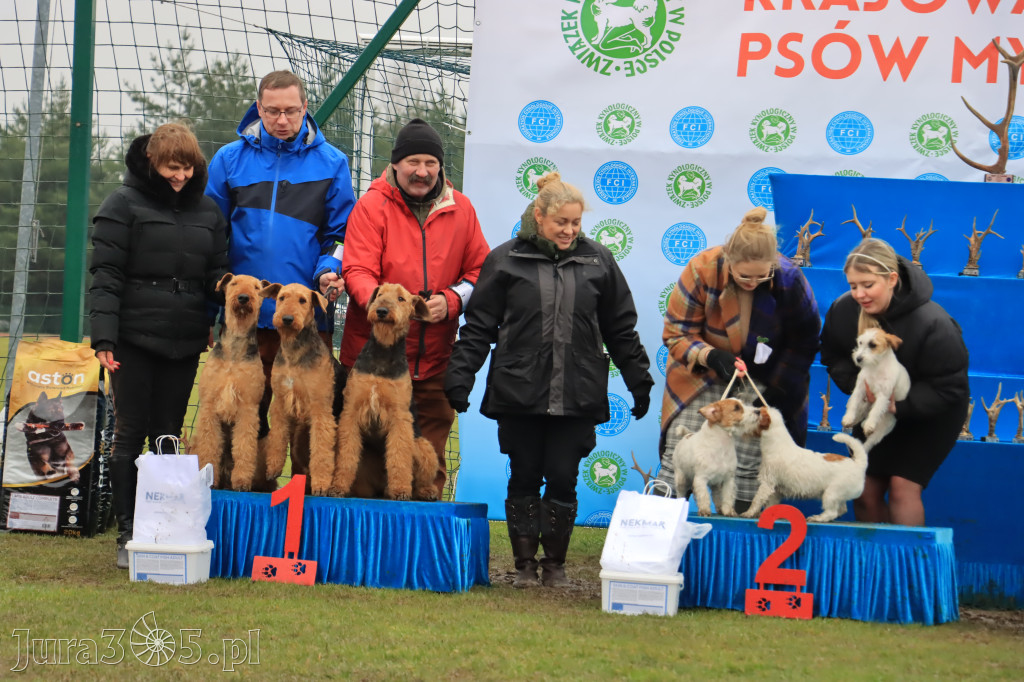 Krajowa Wystawa Psów Myśliwskich - Gniazdów g. Koziegłowy cz. 2