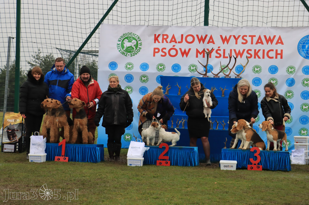 Krajowa Wystawa Psów Myśliwskich - Gniazdów g. Koziegłowy cz. 2