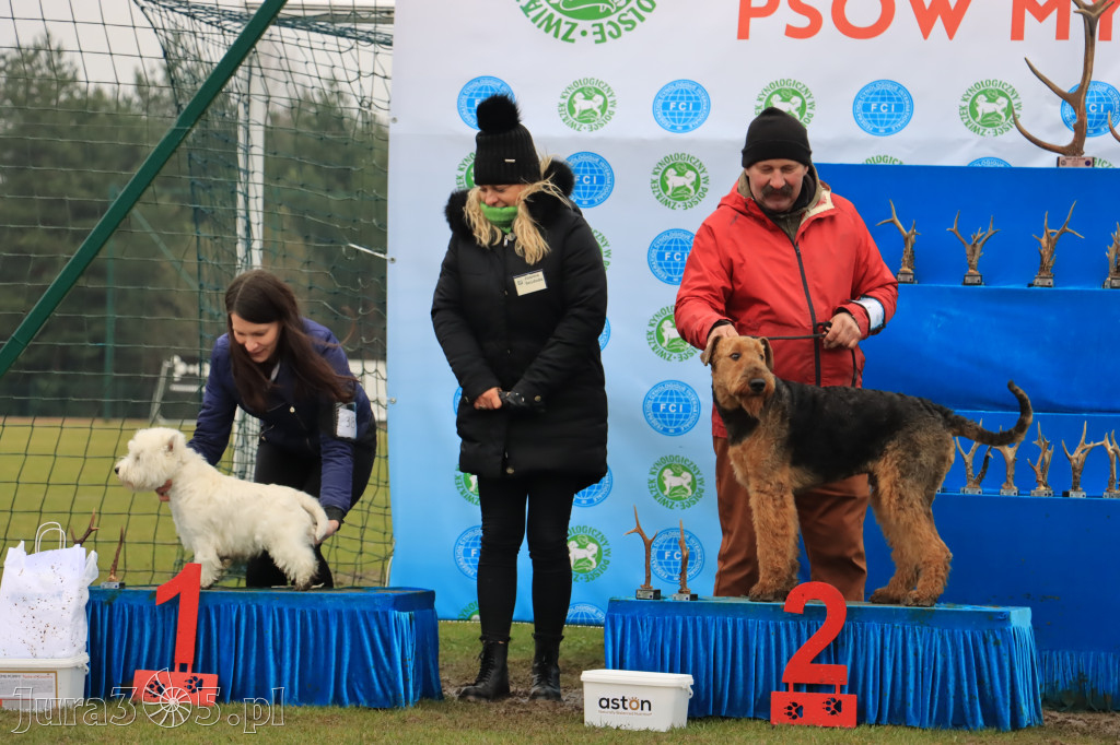 Krajowa Wystawa Psów Myśliwskich - Gniazdów g. Koziegłowy cz. 2