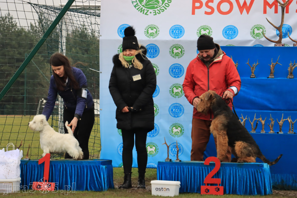 Krajowa Wystawa Psów Myśliwskich - Gniazdów g. Koziegłowy cz. 2