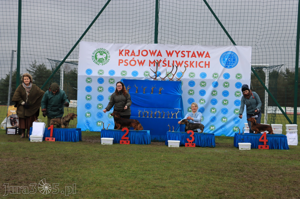 Krajowa Wystawa Psów Myśliwskich - Gniazdów g. Koziegłowy cz. 2