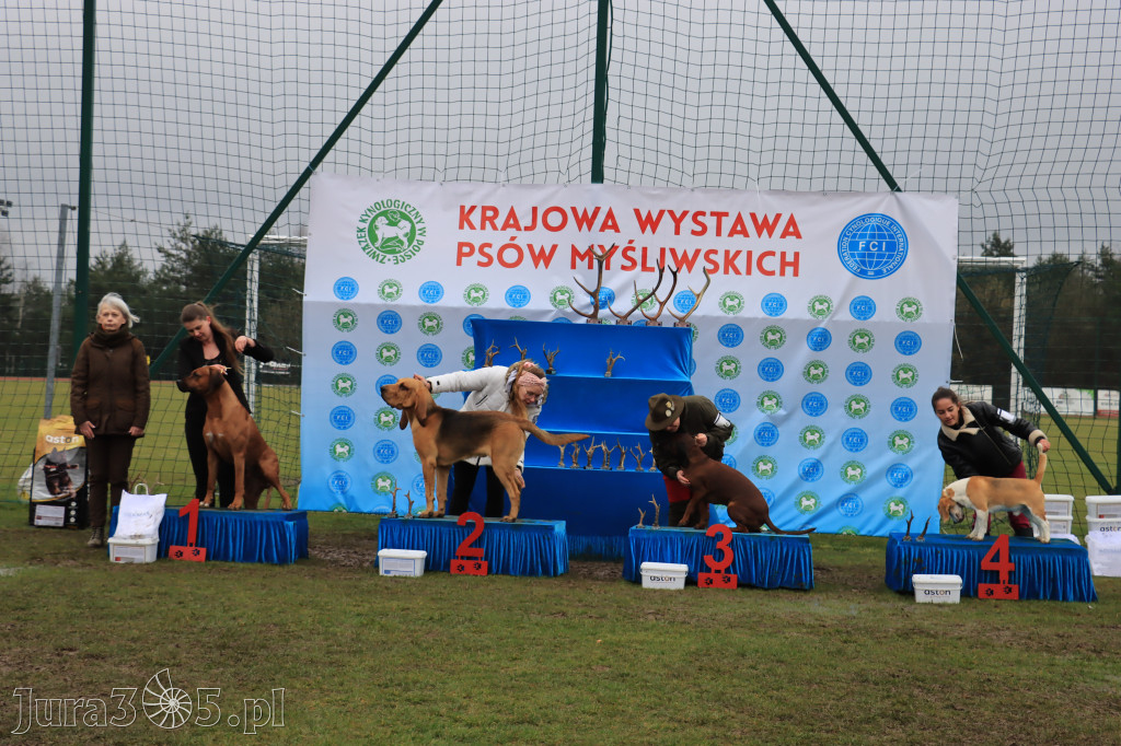 Krajowa Wystawa Psów Myśliwskich - Gniazdów g. Koziegłowy cz. 2