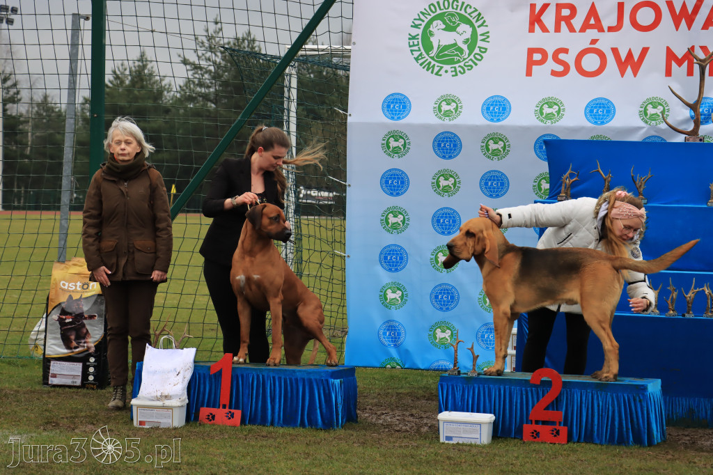 Krajowa Wystawa Psów Myśliwskich - Gniazdów g. Koziegłowy cz. 2