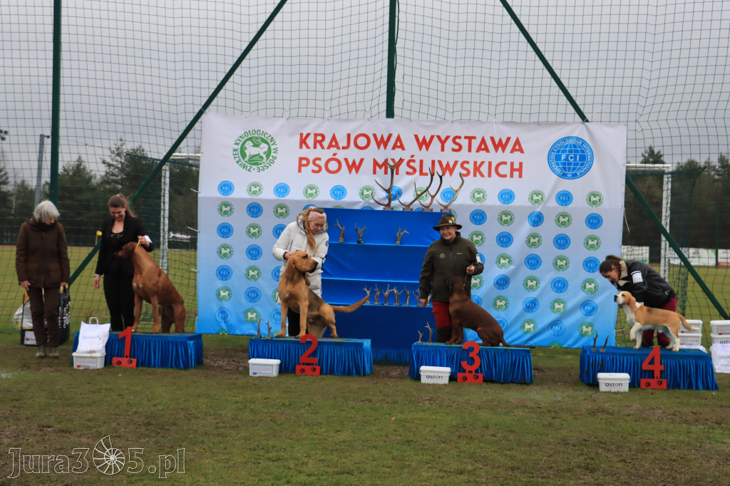Krajowa Wystawa Psów Myśliwskich - Gniazdów g. Koziegłowy cz. 2